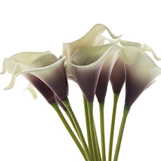 리버그린 카라 조화부쉬, 퍼플, 1개