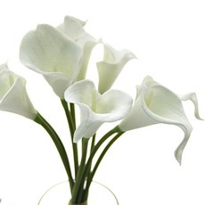 리버그린 카라 조화부쉬, 순수화이트, 1개
