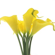 RIVER-GREEN 海芋人造花束, 黃色