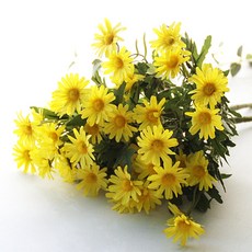 人造花 擬真雛菊 2入, 黃色