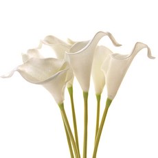 RIVER-GREEN 人造馬蹄蓮花枝, 純白色
