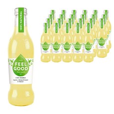 필굿 애플 엘더플라워 앤 워터 탄산음료, 275ml, 24개입