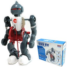Seonggwang教區Dumble Robot, 混色