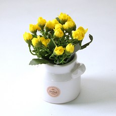 RIVER-GREEN 玫瑰奶瓶瓷花盆套組, 黃色, 1個