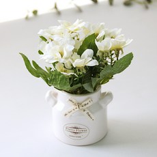 河綠蝴蝶花絲帶花盆套組, 白色