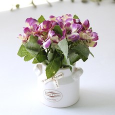 河綠蝴蝶花絲帶花盆套組, 淺紫色