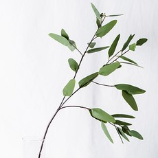 RYMD 室內裝飾假花尤加利葉, 混色