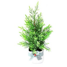 HAPPY WORLD 柏樹花盆裡的幸福世界, 1套, 混色