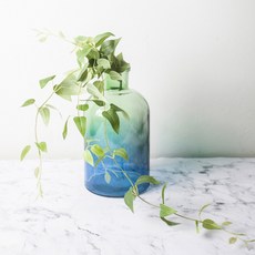 RYMD 室內裝飾仿真常春藤, 混色