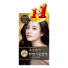 리엔 흑모비책 한방 거품염색제 1+1, 흑갈색, 2개