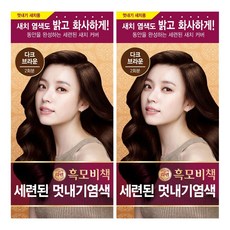 리엔 흑모비책 세련된 멋내기 염색제, 다크브라운, 2개