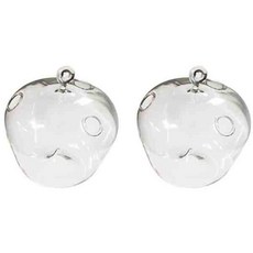 글라스코 사과행잉걸이 CS238-11 2p, 투명, 2개