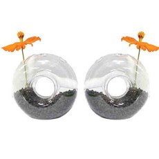 삼호유리 도너츠 행잉볼 LB445-10 2p, 투명, 2개