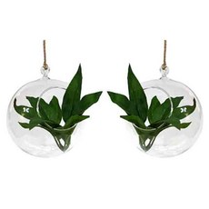 글라스코 행잉볼 LB195-12 2p, 투명