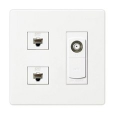 JINHEUNG CATV2插座+8P插座 2入, 1套