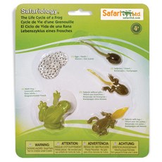 Safari Ltd 公仔 269129 青蛙成長過程 Life Cycle of a Frog, 1個
