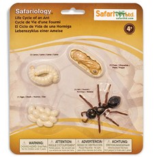 Safari Ltd 公仔 663916 螞蟻的成長過程 Life Cycle of an Ant, 1個