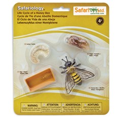 Safari Ltd 公仔 622716 蜜蜂的成長過程 Life Cycle of a Honey Bee, 1個