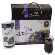 삼도웰빙 웰빙장성오디페이스트, 100ml, 30개입
