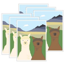 Mollyyo插圖明信片卡片 6入+信封 6入, 2 隻羊駝, 1套