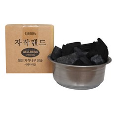 참유통 웰빙 자작나무 참숯, 500g, 1개, 본품선택