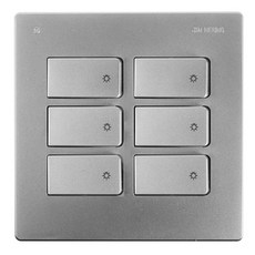 JINHEUNG 6切開關蓋 銀色, 1個