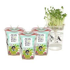 틔움세상 한컵 새싹 농장 무순 키우기, 3개입