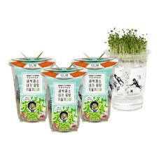 틔움세상 한컵 새싹 농장 다채 키우기, 3개입