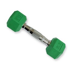 디와이스 덤벨 그린, 2.3kg, 1개