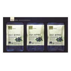 올가홀푸드 와일드 블루베리즙, 80ml, 21개입