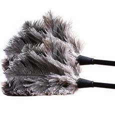 리버그린 타조깃털 먼지 털이개, 혼합색상, 2개