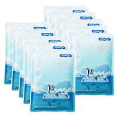 KOMAX 冰罐凝膠包 1 號, 1件, 10片