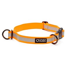 스턴트퍼피 글로 드라이 방수 목줄 스몰 오렌지, 1개