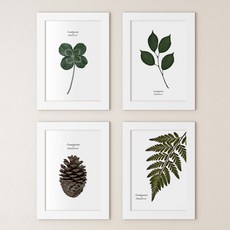 GGOOMIM 植物藝術相框組 B款, 白色