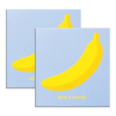 Euneun Art 迷你減肥日誌 香蕉, Moonlight blue