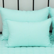 CHOUETTROOM 人造絲枕頭套 2入