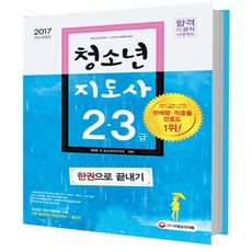 청소년지도사 2급 3급 한권으로 끝내기(2017):한국산업인력공단 / 한국청소년활동진흥원, 시대고시기획
