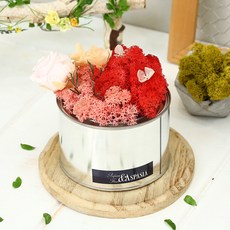 아스파시아 숨쉬는 모스 공기정화 화분, 레드 + 핑크, 1개