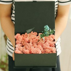 아스파시아 헤이그의아침 스칸디아모스 그린박스, 체리블러썸핑크 (사랑해요), 1개