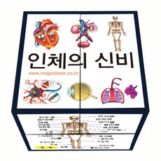 로호사이언스 매직큐브 매직블록 일반형 5인, 인체의 신비
