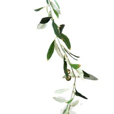 RYMD 橄欖花環, 混色