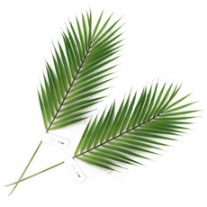 RYMD 人造棕櫚盆栽, 單色