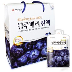 은하식품 블루베리진액, 80ml, 16개