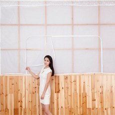 拉鍊式窗戶蚊帳+雙面膠帶 15m+金色壓釘+上方裝飾蕾絲, 混色