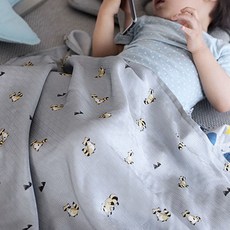 데코뷰 애니멀 풍기인견 블랭킷, 그레이 (너구리)