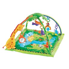피셔프라이스 레인포레스트 아기체육관, 혼합색상, 1개