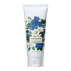 클리오 힐링버드 보태니컬 컨디셔너 블루베리 & 바닐라, 200ml, 1개