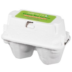 홀리카홀리카 매끈한 에그 스킨 에그솝 녹차 2p, 50g, 1개