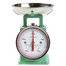 덜튼 0.5kg 주방저울, 민트그린
