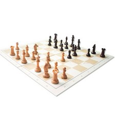 GIDEON 新家庭西洋棋, 混合顏色, 1個